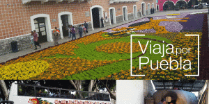Tour 4 | Mezcal Flowers and Legends of Puebla